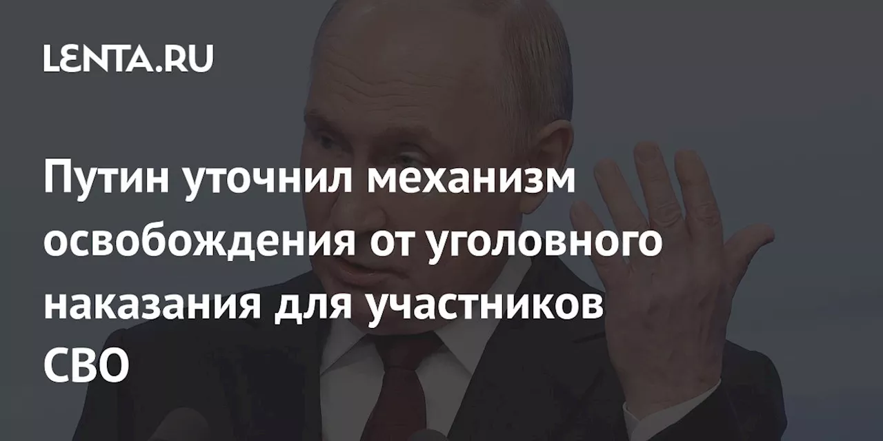 Путин уточнил механизм освобождения от уголовного наказания для участников СВО