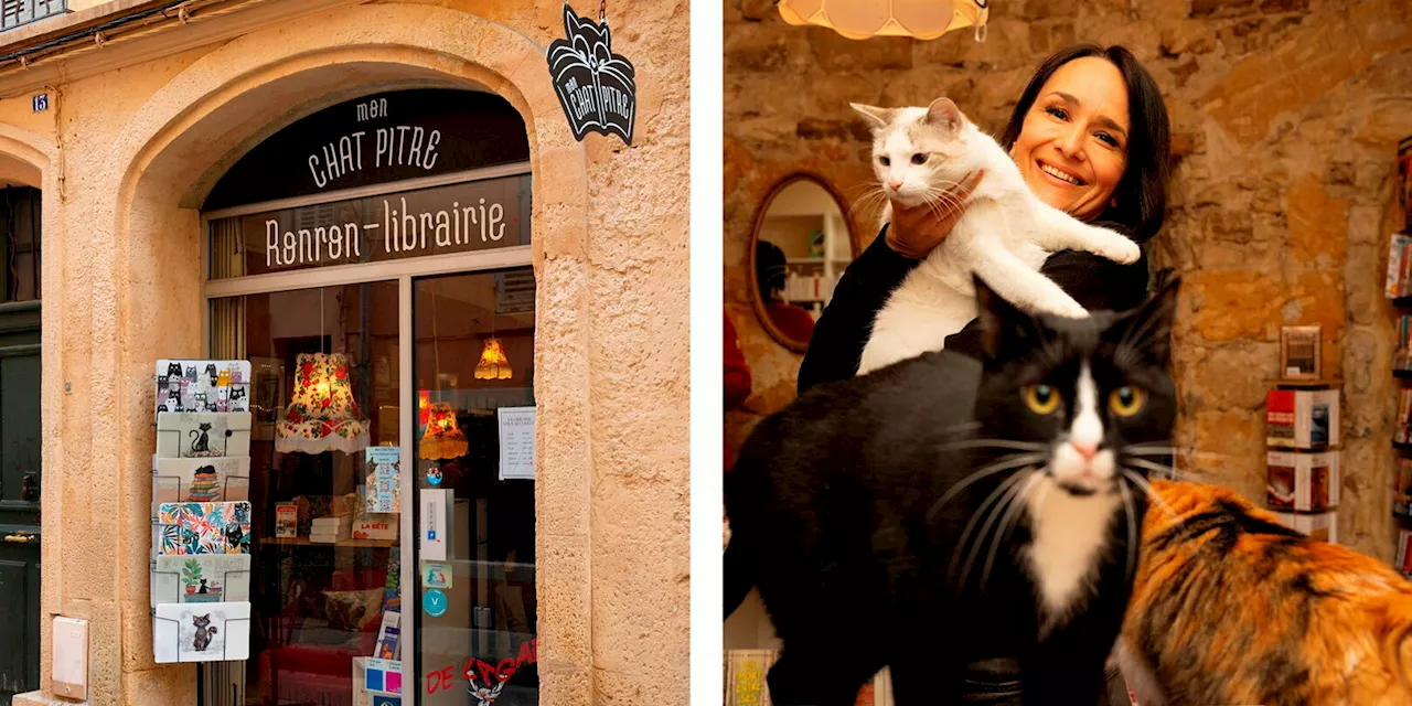 Aix-en-Provence : les coups de cœur de la librairie Mon Chat Pitre