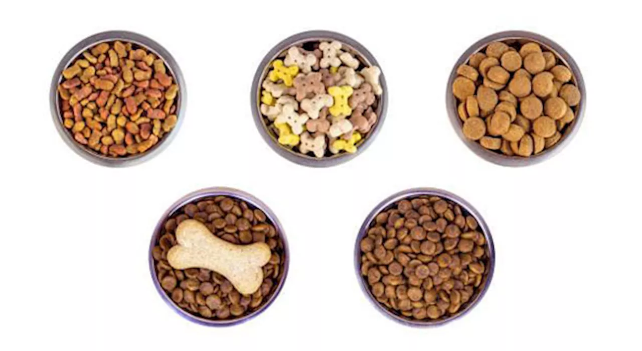 How to choose dry dog food and cat food