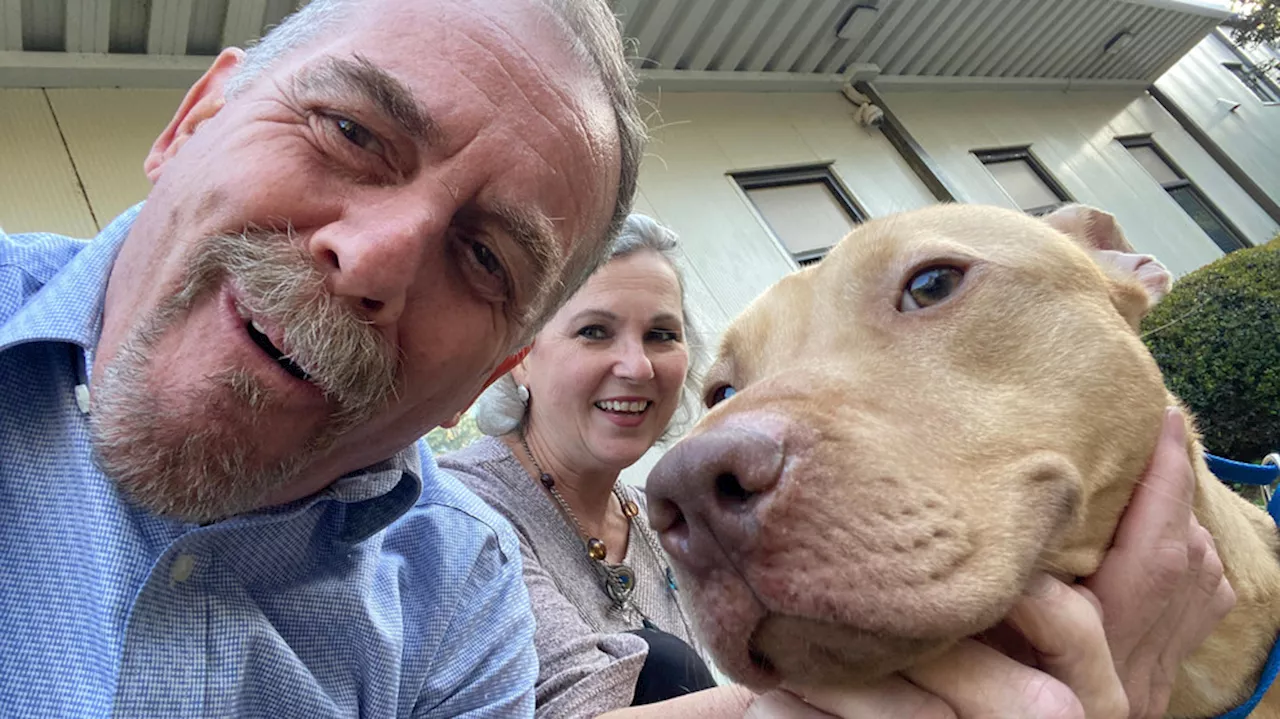 She's the longest resident of the animal shelter, but that could change Saturday