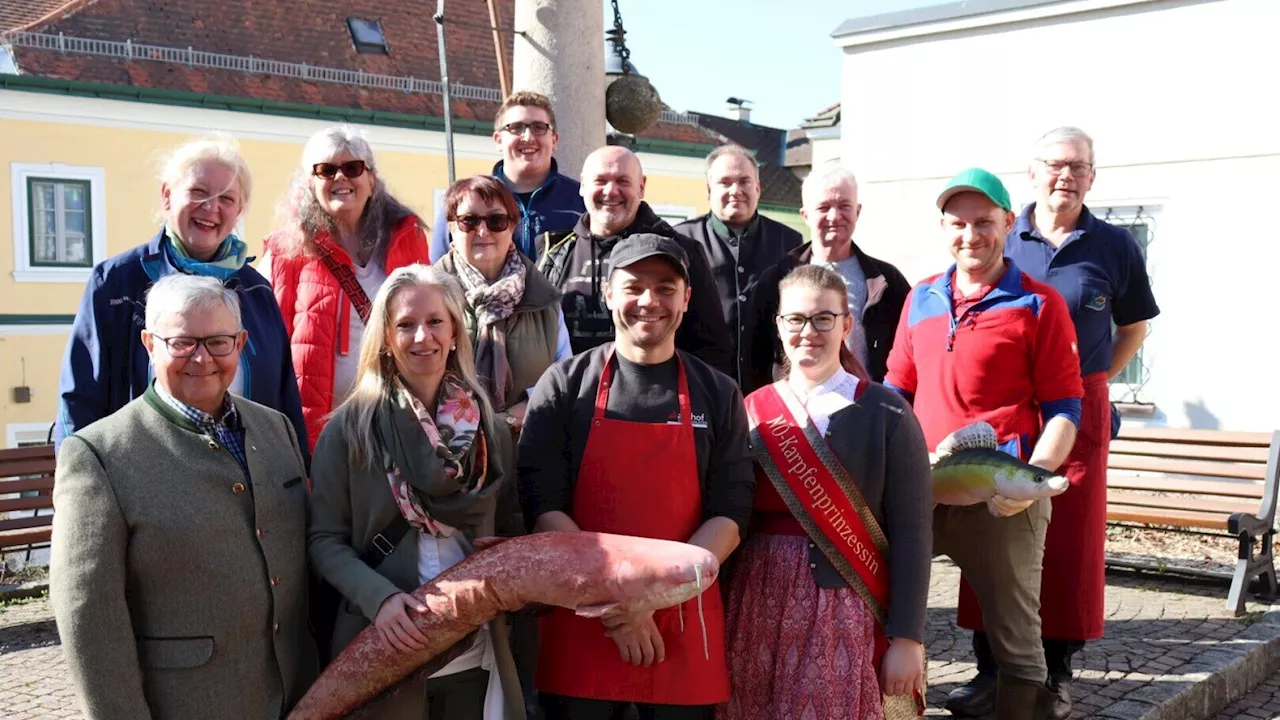 Mit Fisch, Käse & mehr in den Frühling