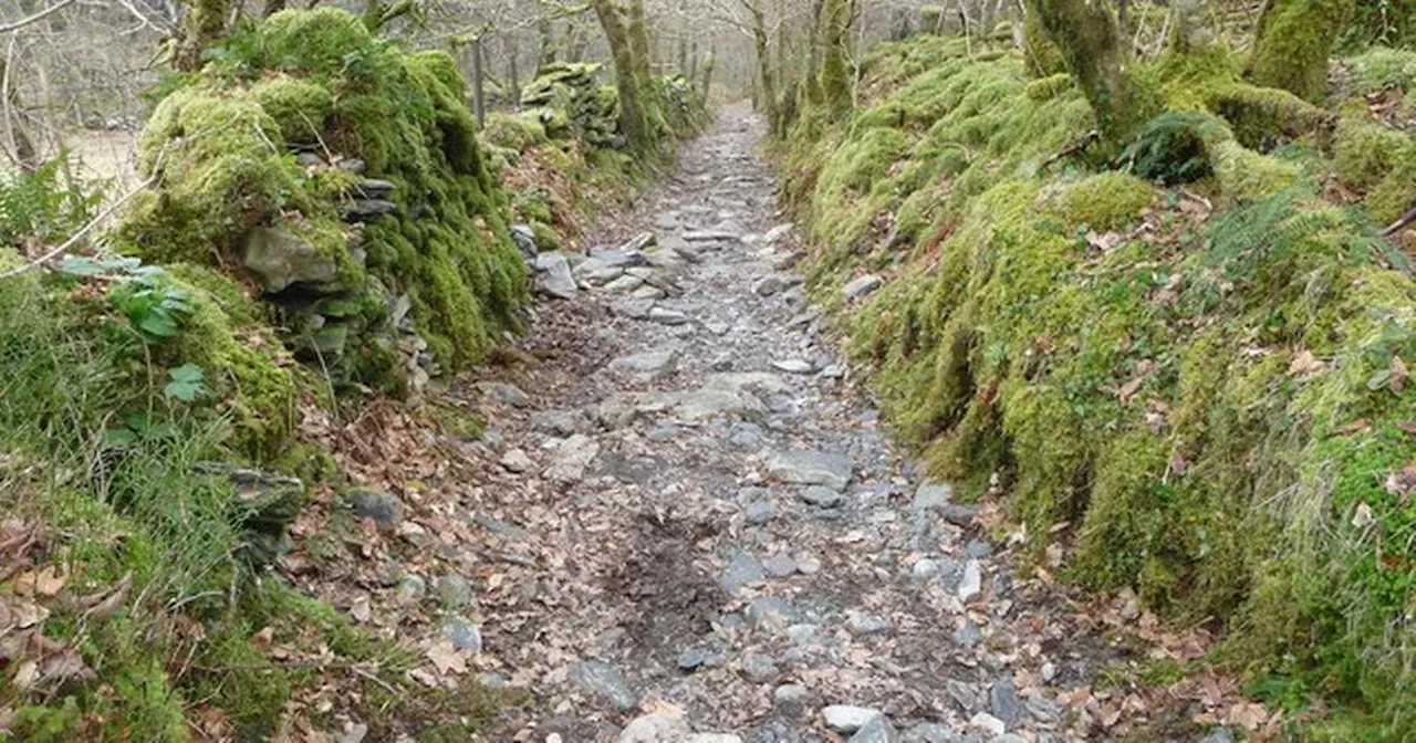 Ancient road that runs entire length of Wales forgotten for centuries