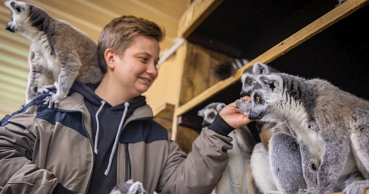 Mit Video: Das sind die neuen Hingucker im Freizeitpark Safariland im Kreis Gütersloh