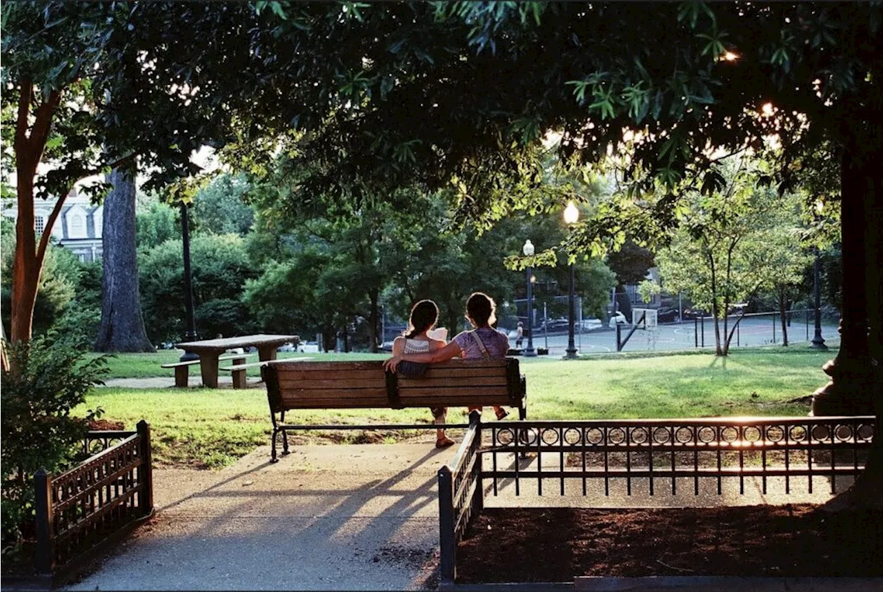 Missed Connection in Kalorama Park