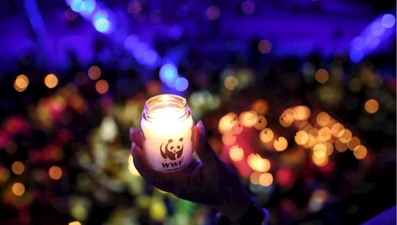 Earth Hour 2024: l'invito del WWF a spegnere le luci