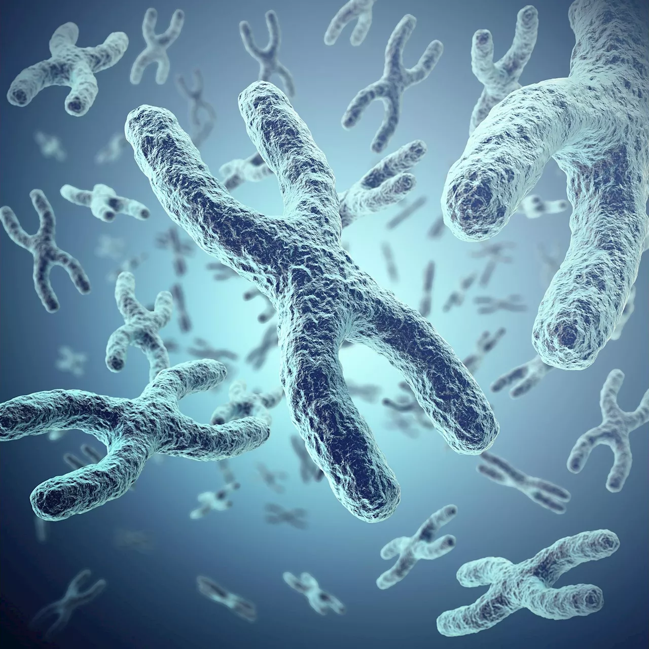 – Scientists Develop Novel Technique To Form Human Artificial Chromosomes