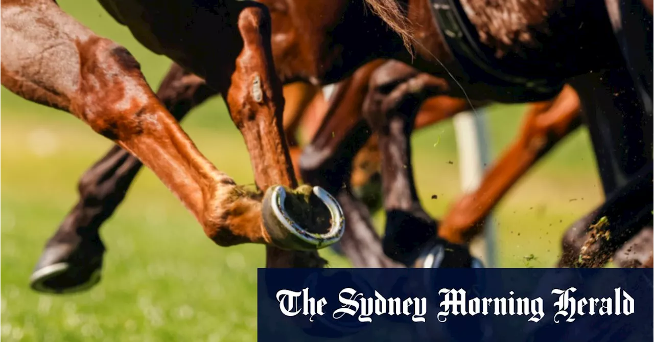 Race-by-race preview and tips for Goulburn on Sunday