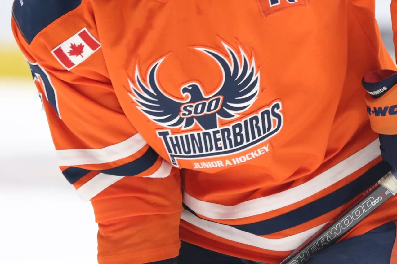 Thunderbirds bounce back to even series with OT victory