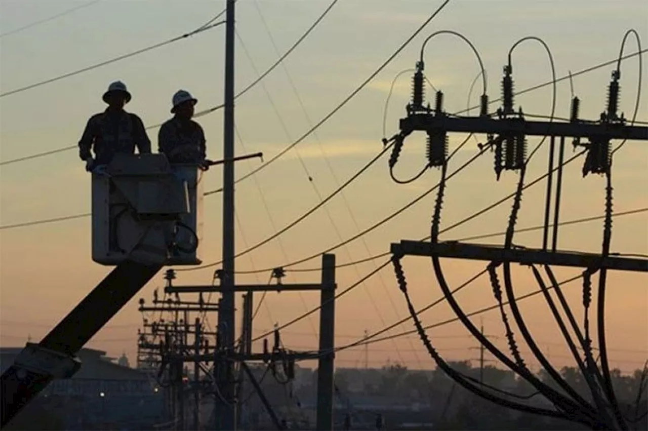 Group urges power distributors to merge