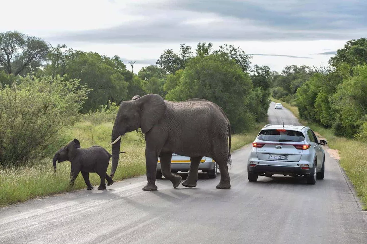 SANParks partners with neighbouring nations to benefit communities