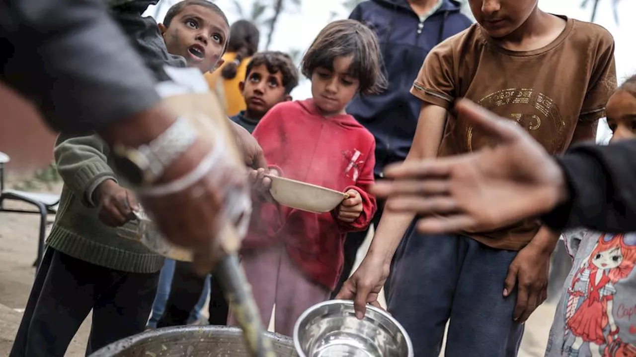 Live blog: Israel kills nine waiting for aid at Gaza aid distribution point