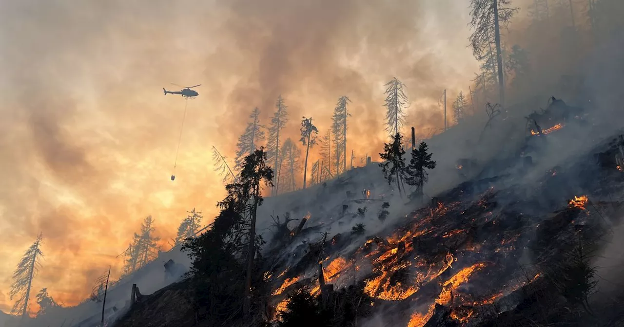 200 Feuerwehrleute im Einsatz: Waldbrand in Sillian weitgehend unter Kontrolle