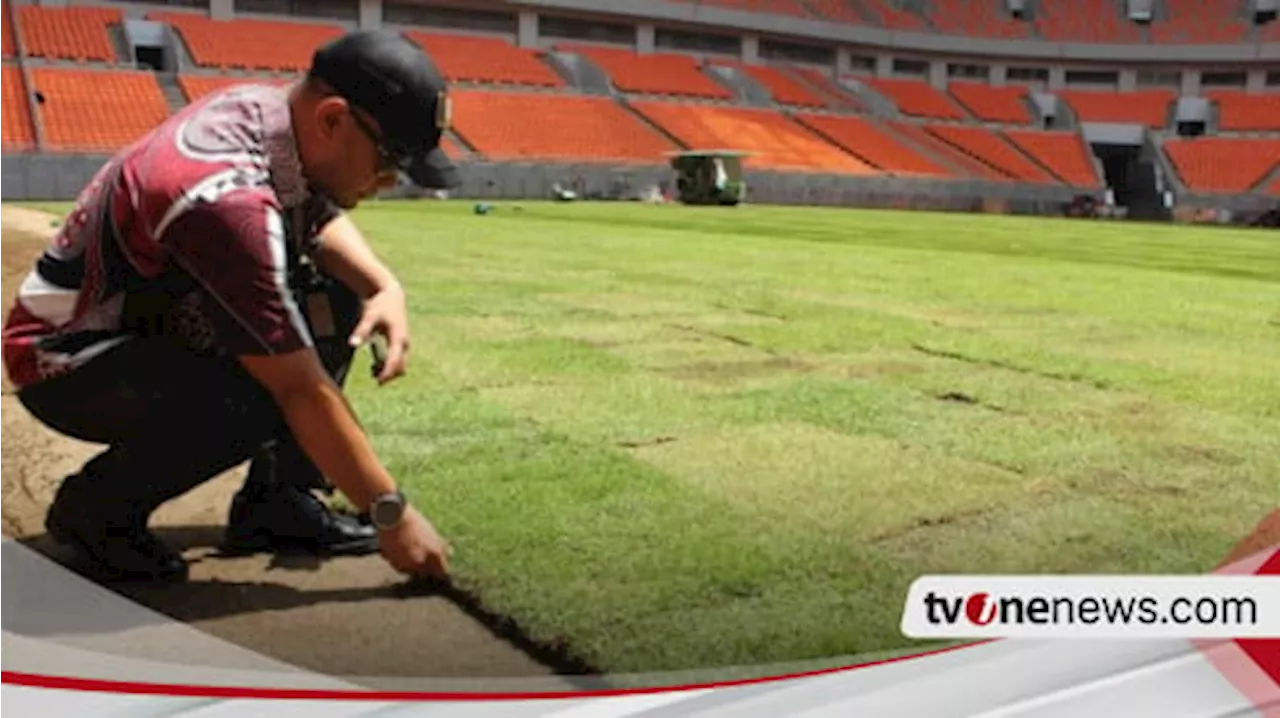 Viral Rumput Stadion JIS Jelek Disorot Menpora, Netizen Bandingkan dengan Rumput JIS