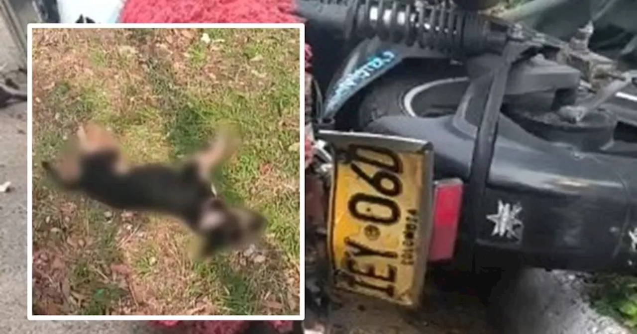 Por un perro que se le atravesó, falleció un motociclista en Barrancabermeja, Santander