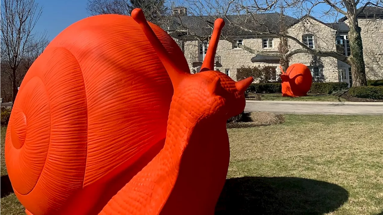 Giant snail sculptures on display outside Dublin Arts Council for upcoming art display