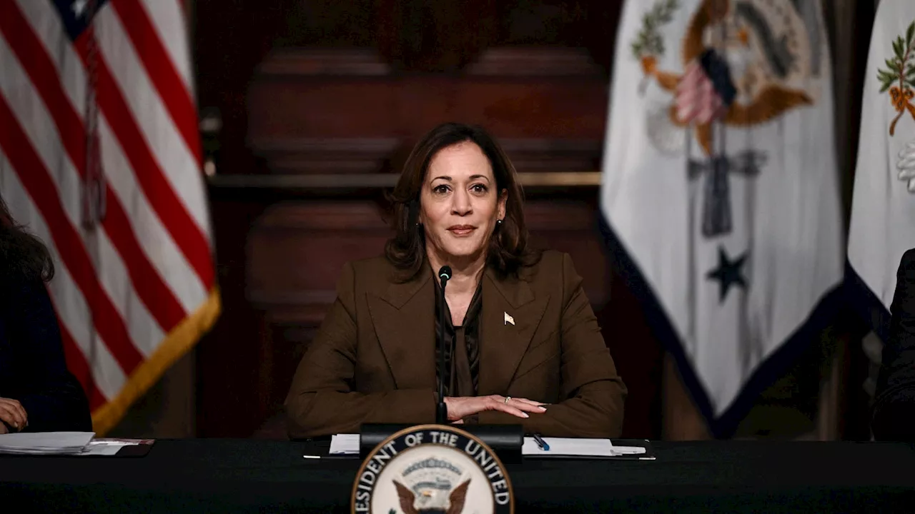 Harris won't say why Biden campaign is on TikTok despite security concerns