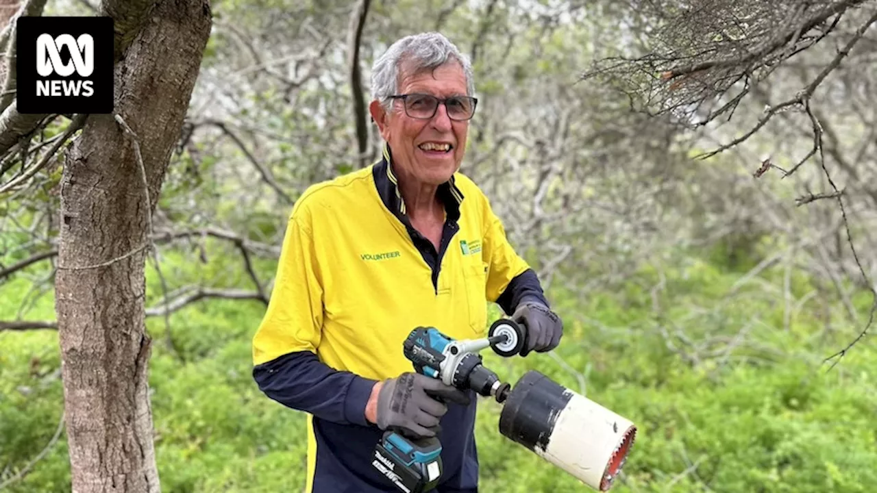 Sunshine Coast bushcare volunteer invents weapon for war against asparagus fern