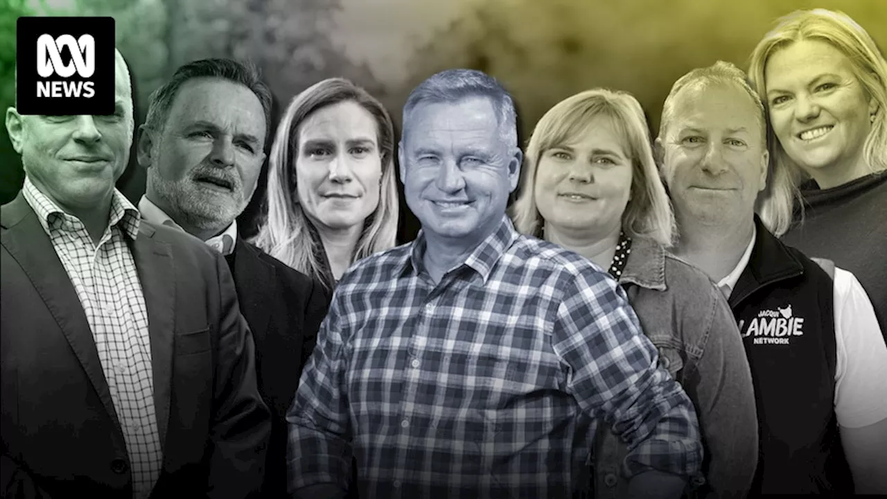 Tasmania's crossbench of Lambie candidates, independents and Greens poses challenge for Liberals