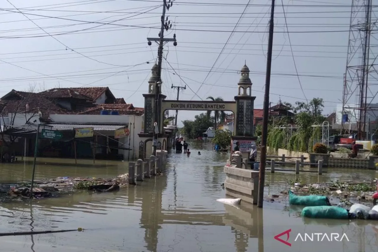 Warga Demak mulai pulang ke rumahnya setelah banjir mulai surut