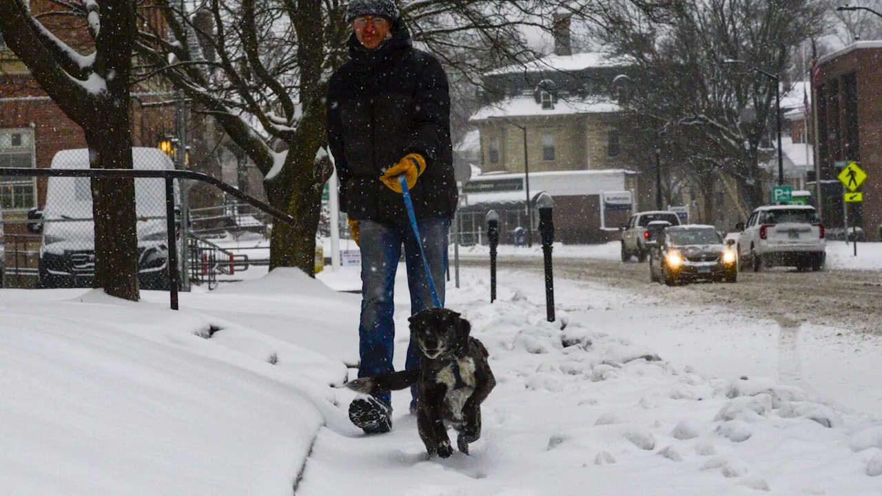 New England shovels out after major spring snow storm