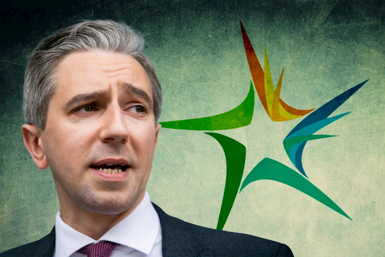 Simon Harris emerges as the next leader of Fine Gael