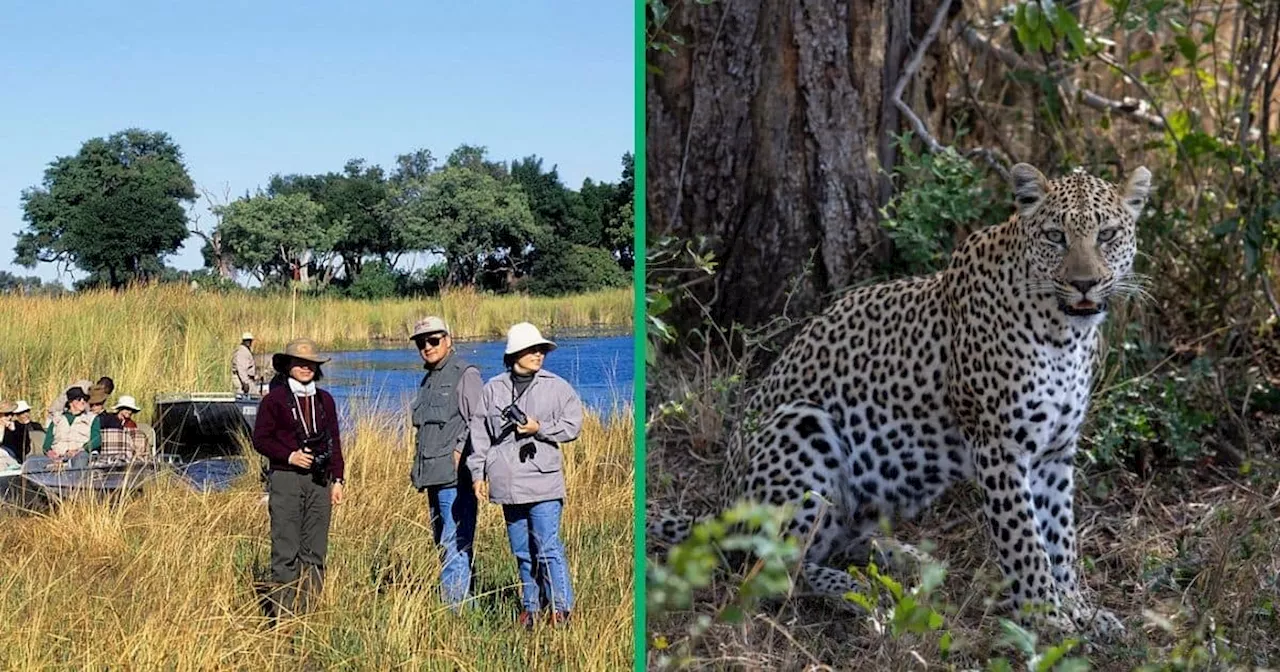 South African Tourists Brave Encounter With Hungry Leopard, Defend Themselves With Bare Hands