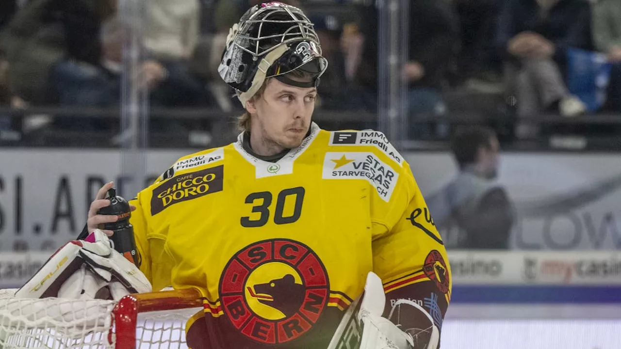 Schweizer anstatt ausländischer Goalie: Wie der SC Bern einen sportlicher Irrtum korrigiert