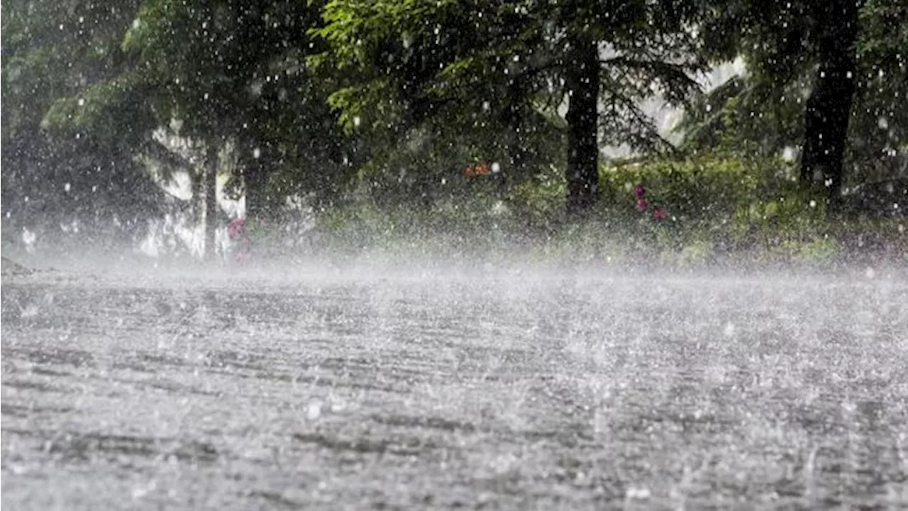 Sejumlah Titik di Bogor Alami Banjir hingga Longsor akibat Hujan Deras