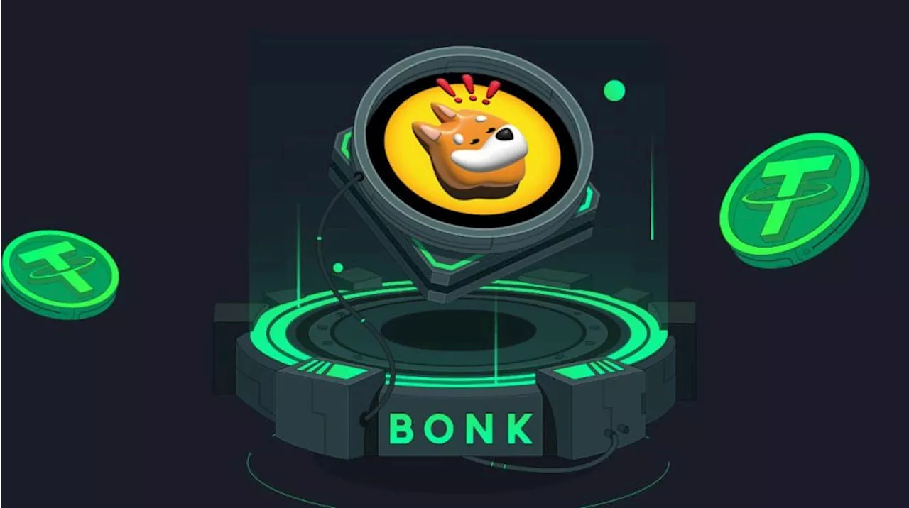 New Bonk (BONK) Cryptocurrency Doubles Bonk Investors Profits, Here’s How