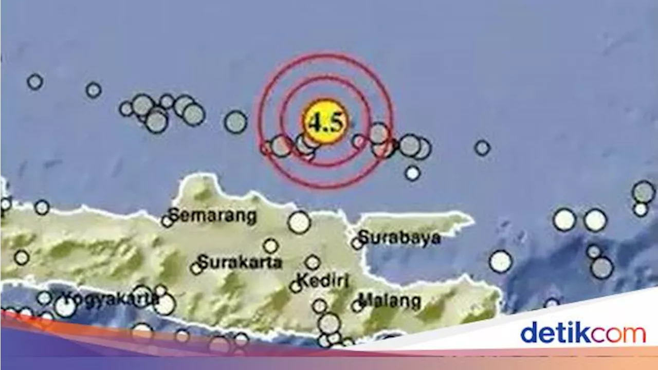 Ini Penjelasan Pakar ITS Soal Pemicu Gempa Bumi Bawean M 5,9