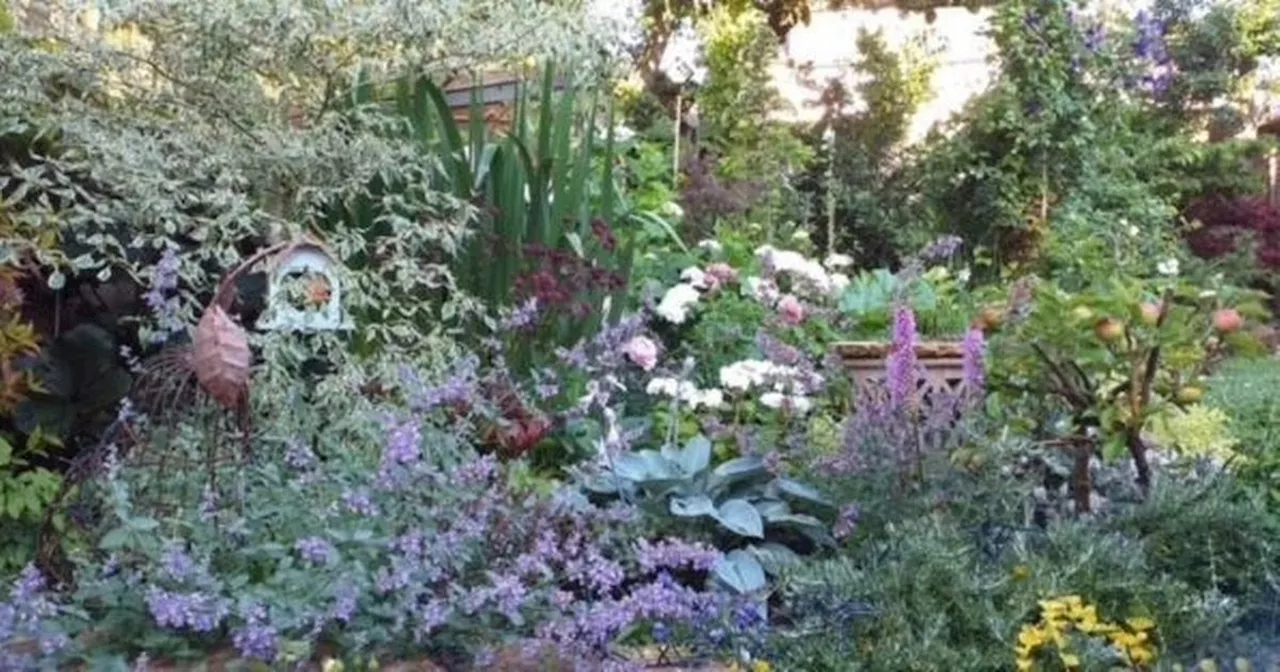 Expert explains what you need to do right now in your garden