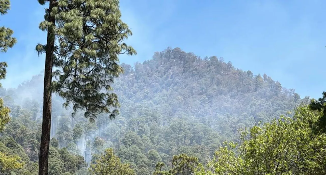 Después de cuatro días, controlan incendio en San Lucas Texcaltitlán donde murieron tres brigadistas