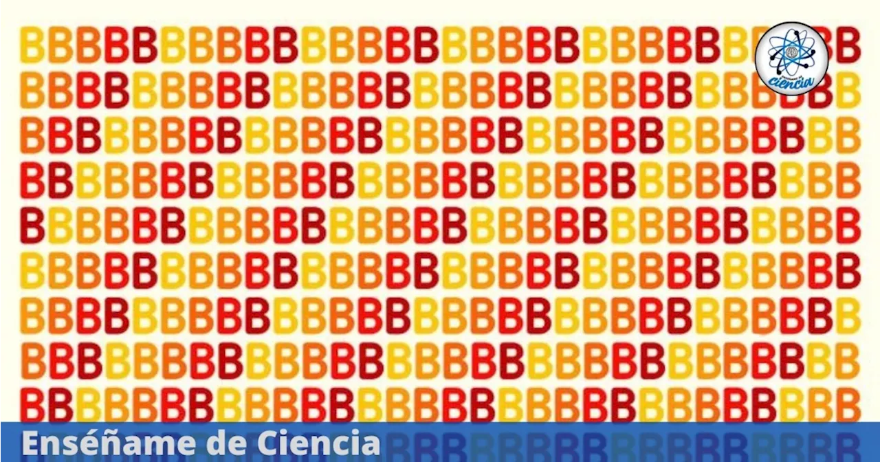 Acertijo visual DIFÍCIL: ¿Serás capaz de encontrar el número 8 entre las letras “B”? Tienes 7 segundos