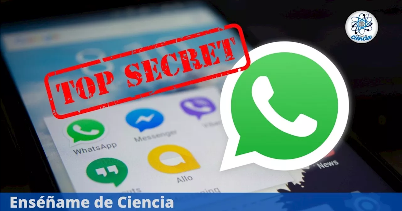 El trucazo para activar la función secreta de WhatsApp que Meta no quiere que sepas