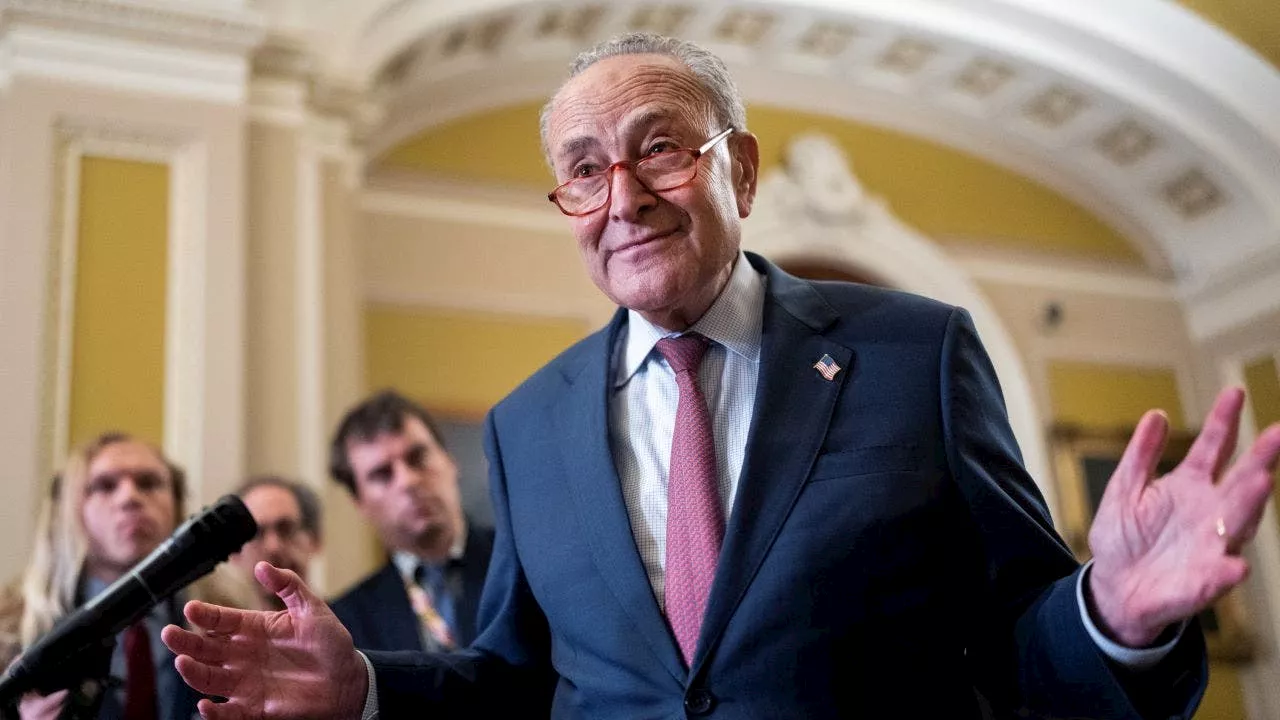 Schumer-aligned groups meddle in Republican primaries, targeting swing states