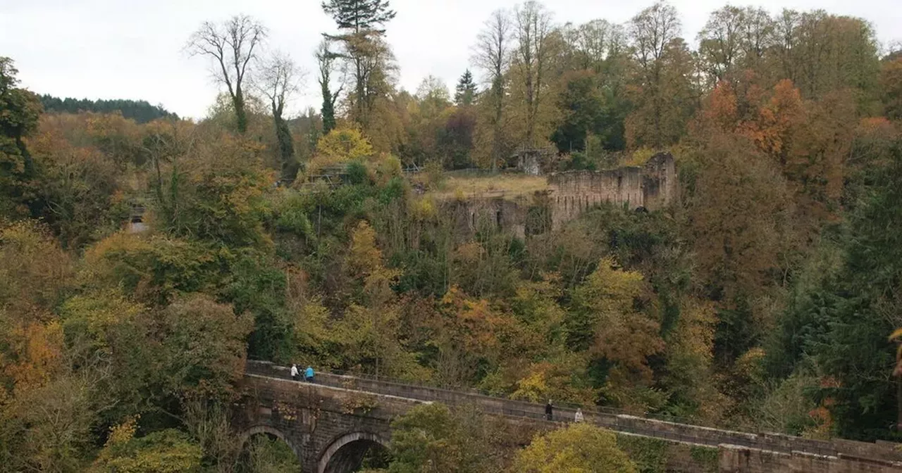 The epic Hamilton country park with stunning woodlands and adventure playground