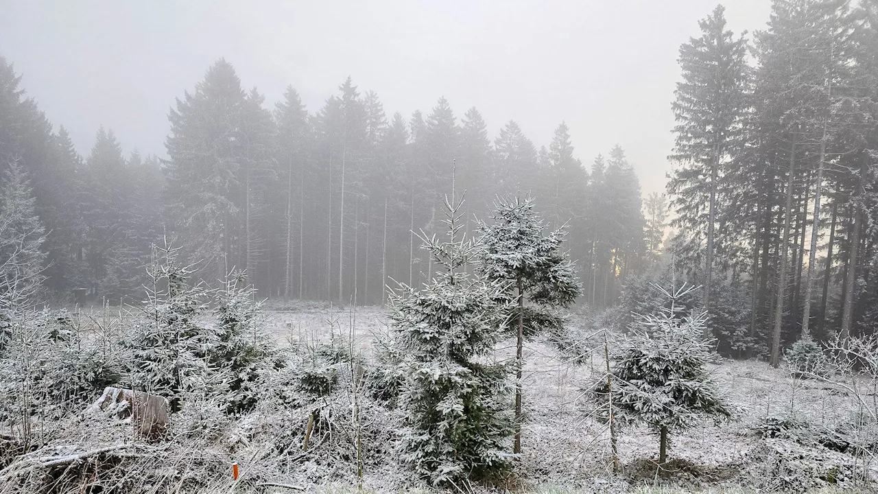 – Video zeigt eiskaltes Winter-Comeback