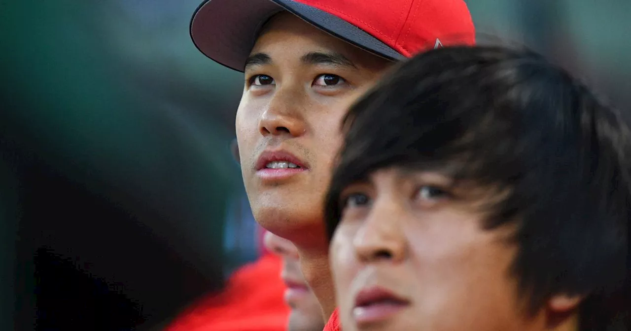 Shohei Ohtani Interpreter Ippei Mizuhara's Public Bio Reveals Multiple Inaccuracies