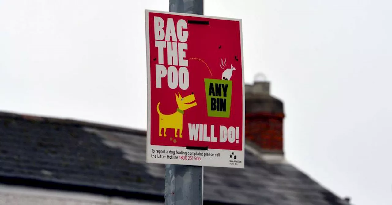 Dog poo droppers, menacing kids and red-light breakers of Dublin: this writer did not get the non-confrontation memo