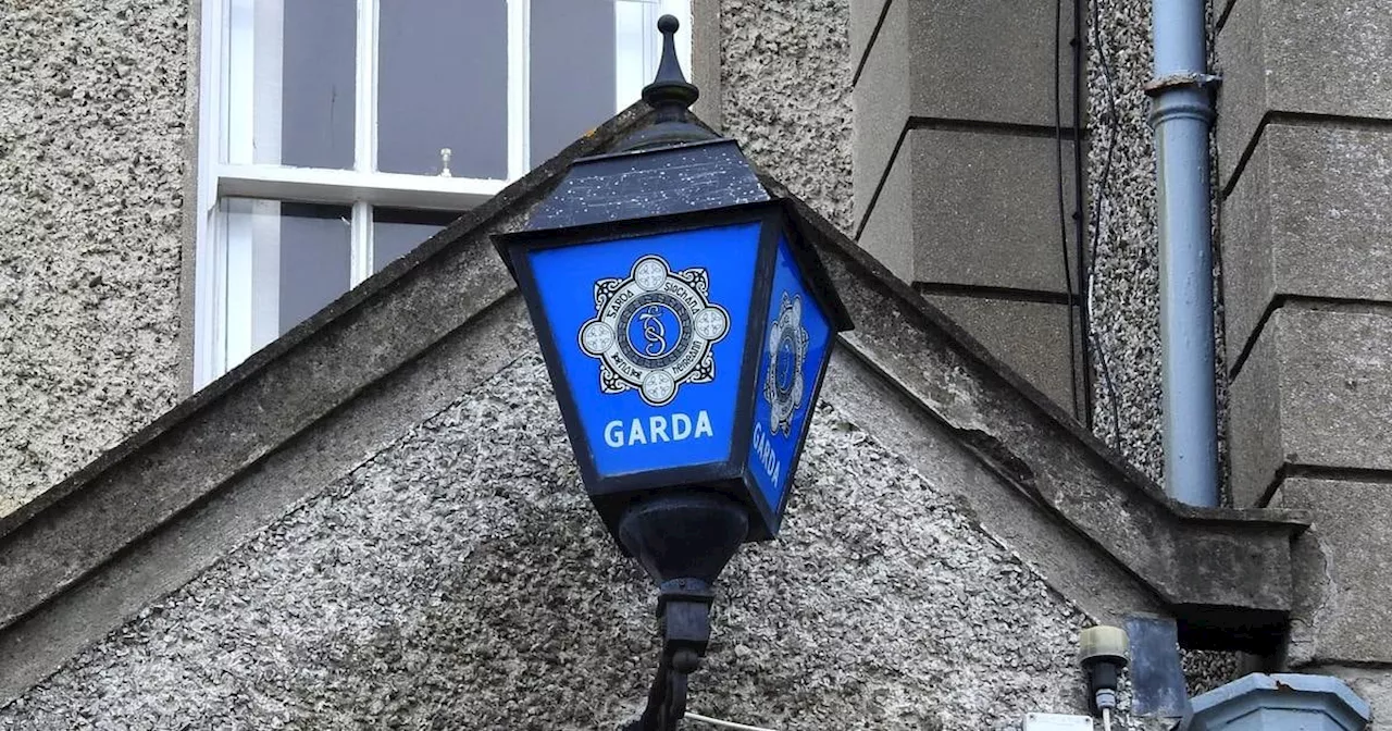 Four men released without charge after Garda operation in Dublin