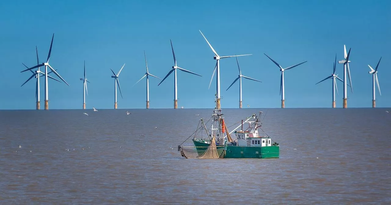 Ireland becoming ‘a renewable powerhouse in Europe’ – Eamon Ryan tells WindEurope conference