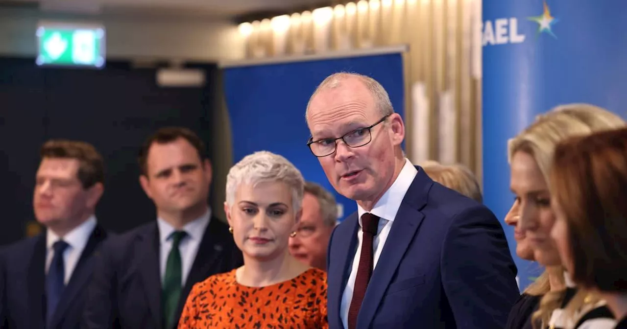 Simon Coveney says he will run for Fine Gael again in next general election