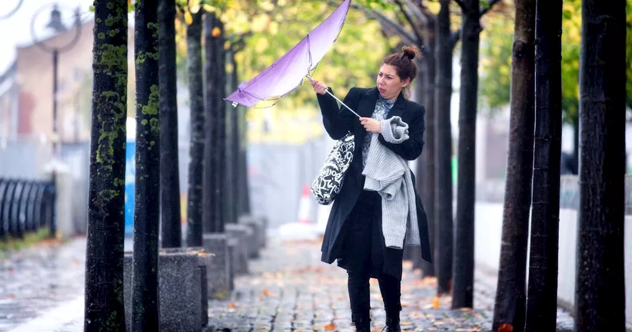 Weather warning: Met Éireann says heavy rain expected with localised flooding in five counties