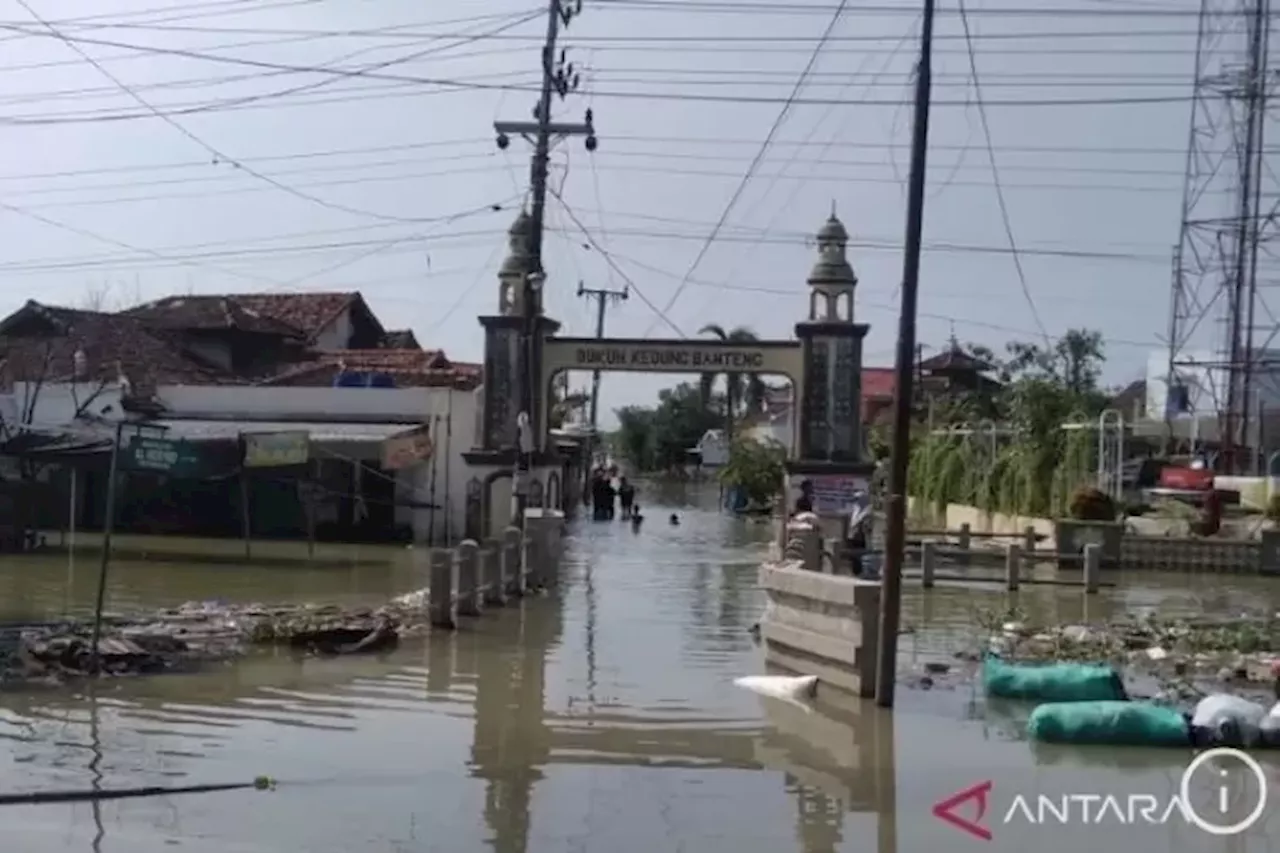 Sejumlah Warga Korban Banjir Demak Jateng Nekat Pulang untuk Bersihkan Rumah, Meski Genangan Belum Sepenuhnya Surut