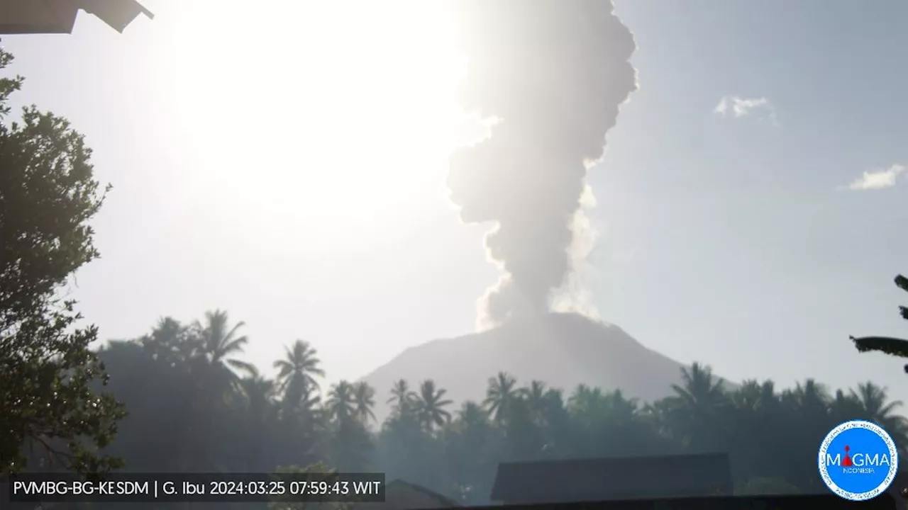 Gunung Ibu Erupsi, Semburkan Abu Vulkanik Setinggi 1.500 Meter ke Arah Barat