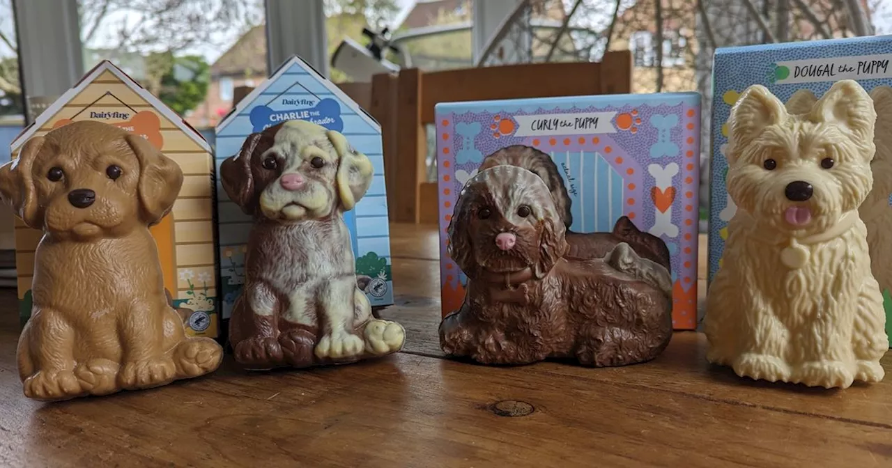 Aldi takes on M&S with £2.99 dog-shaped Easter eggs