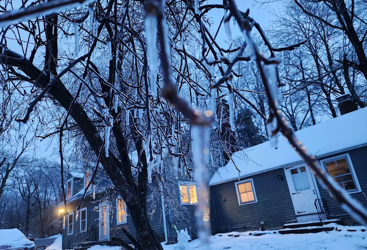 Hardy souls across New England and New York dig out after major winter storm