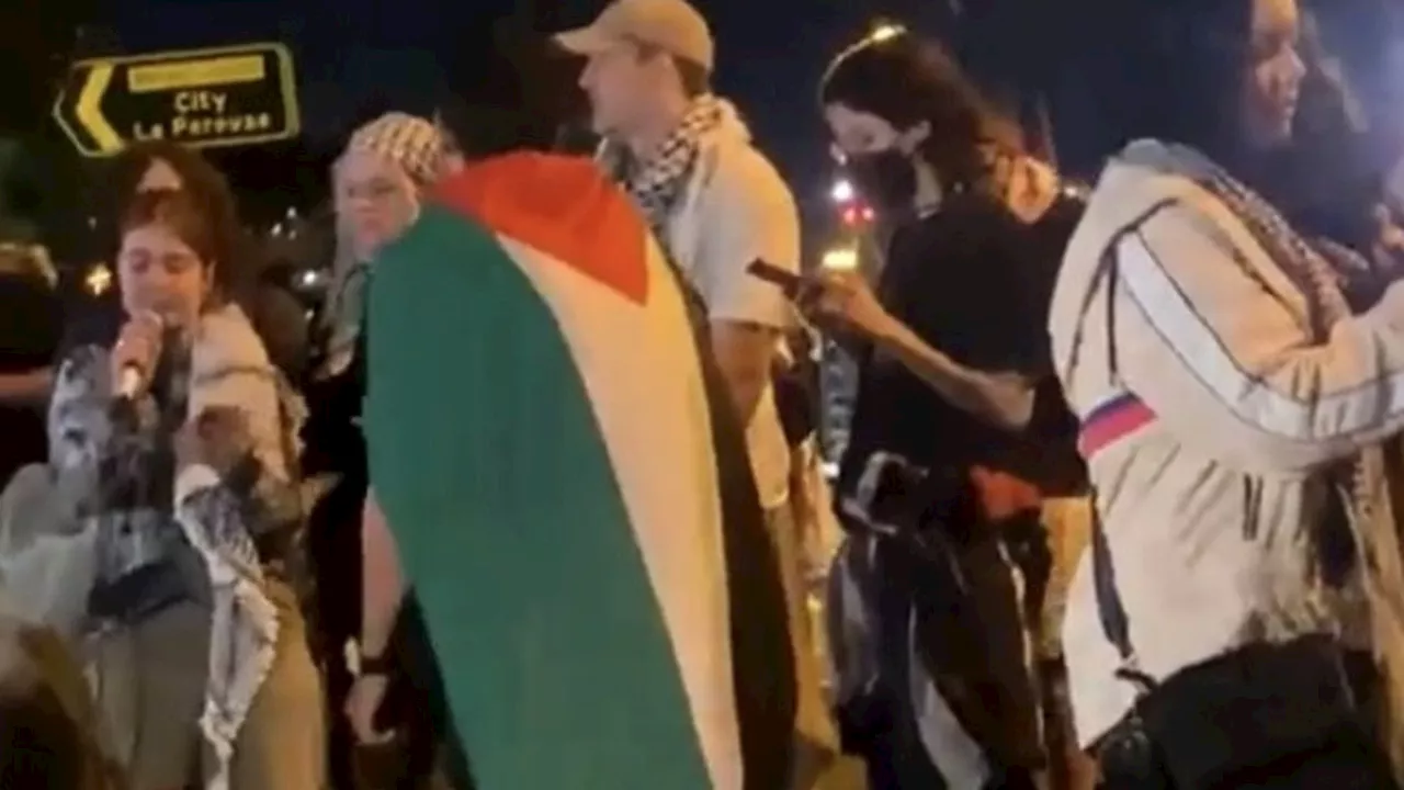 19 charged after pro-Palestine protest