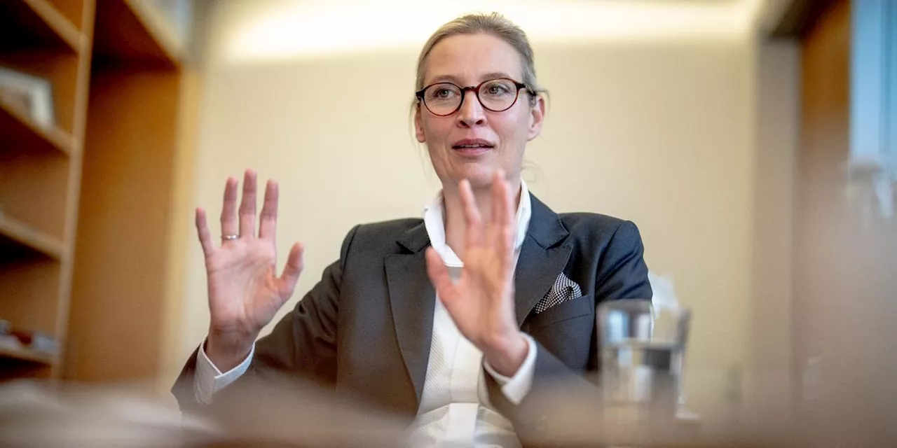 Weidel bestreitet Nähe der AfD zu Putin