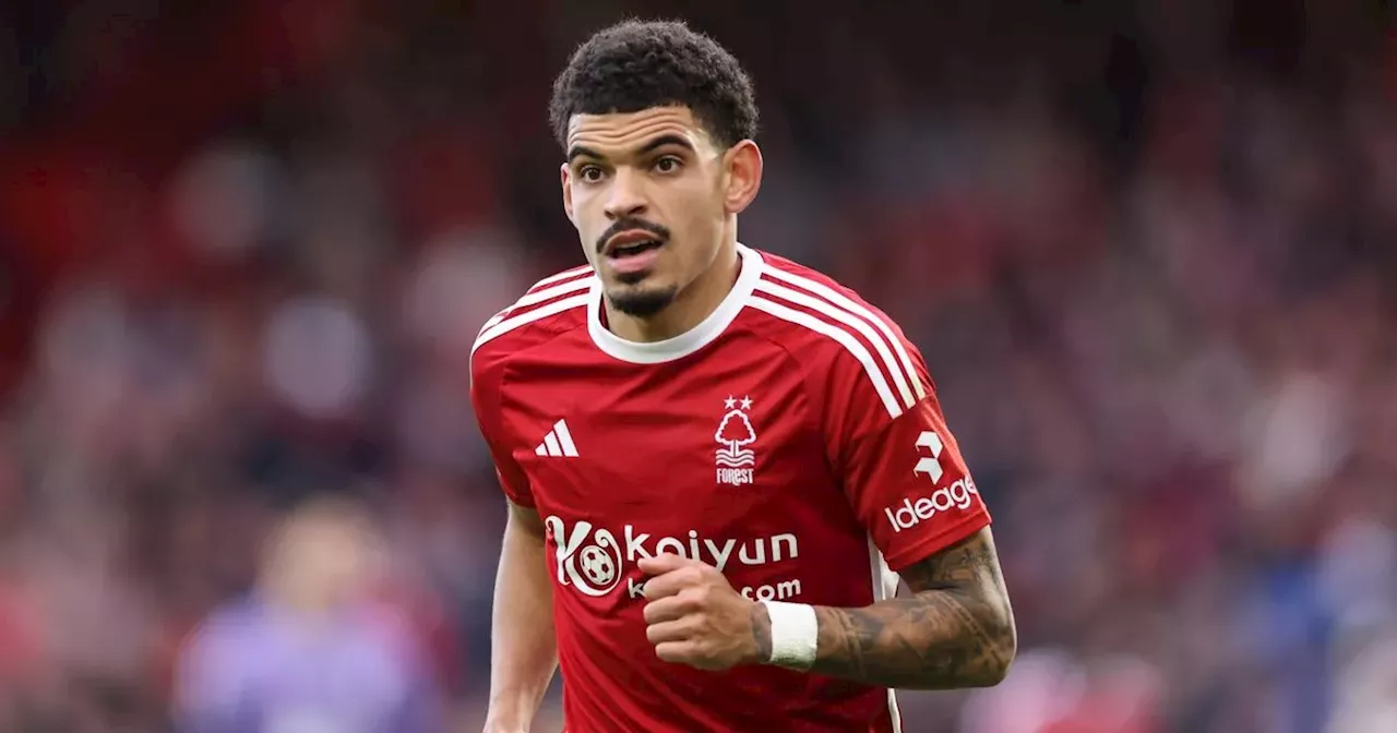 Arsenal Linked with Nottingham Forest Star Morgan Gibbs-White